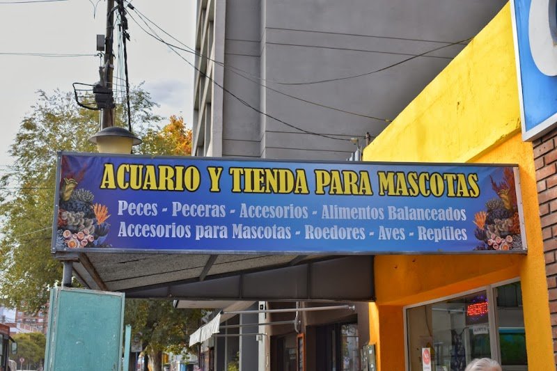 Acuario del Alto