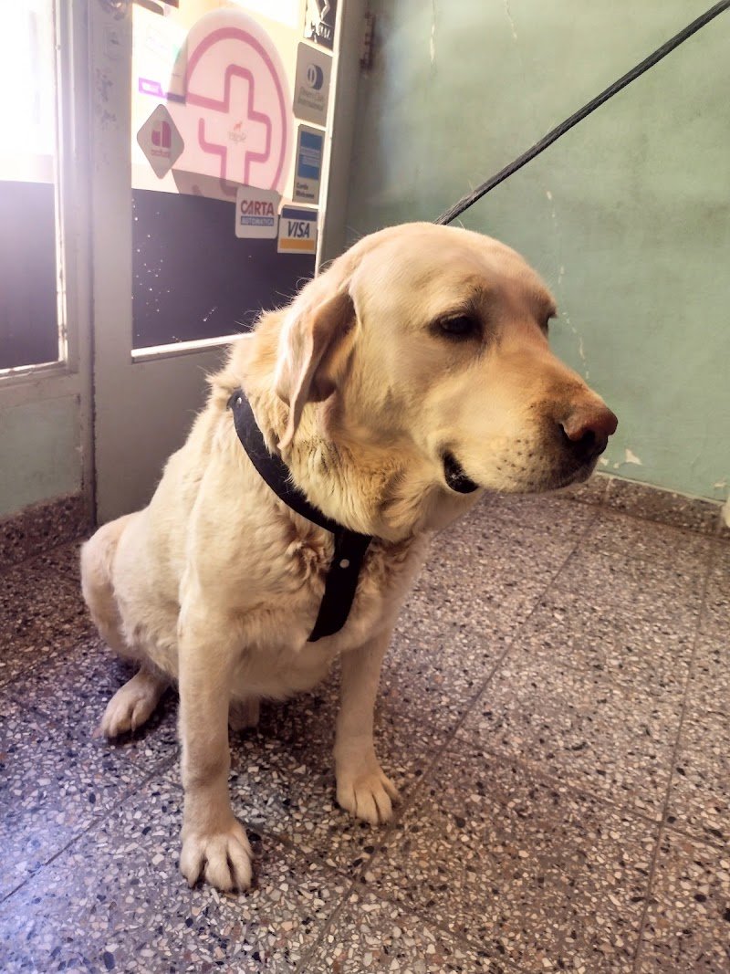 VETERINARIA SAN ROQUE
