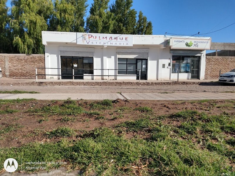 Pulmahue Veterinaria