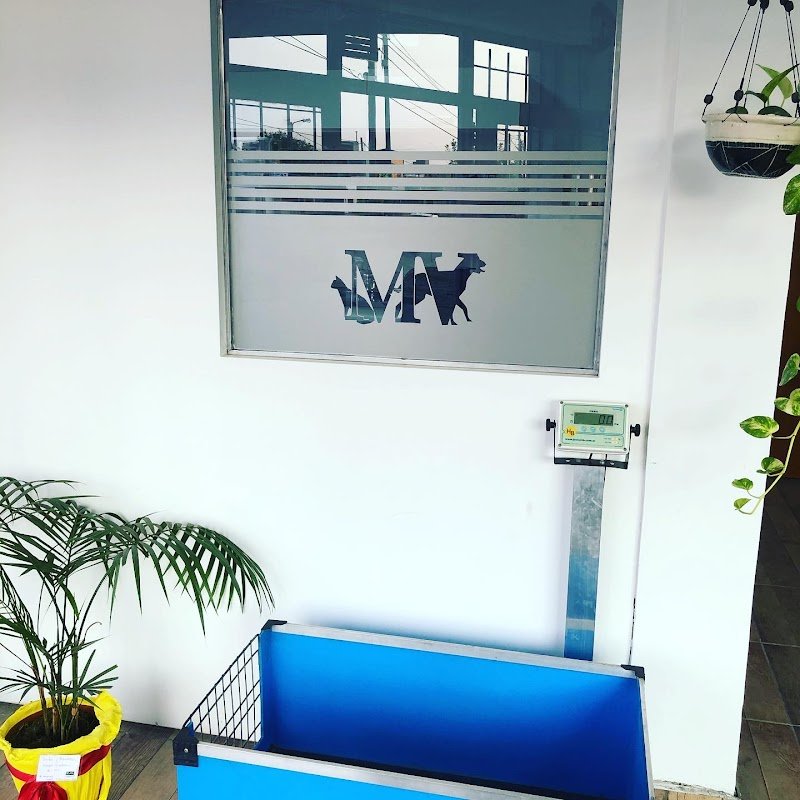 MediVet-Medicina Veterinaria 🐕🐈