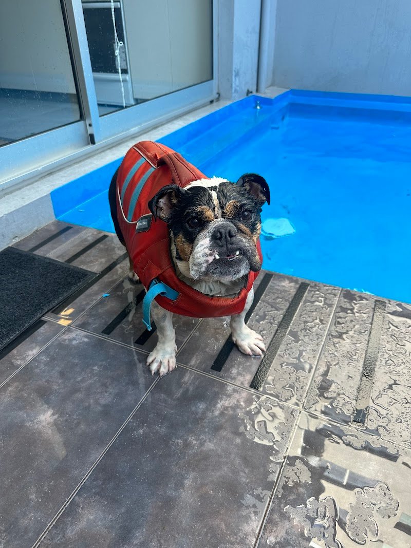Clínica Veterinaria Vida