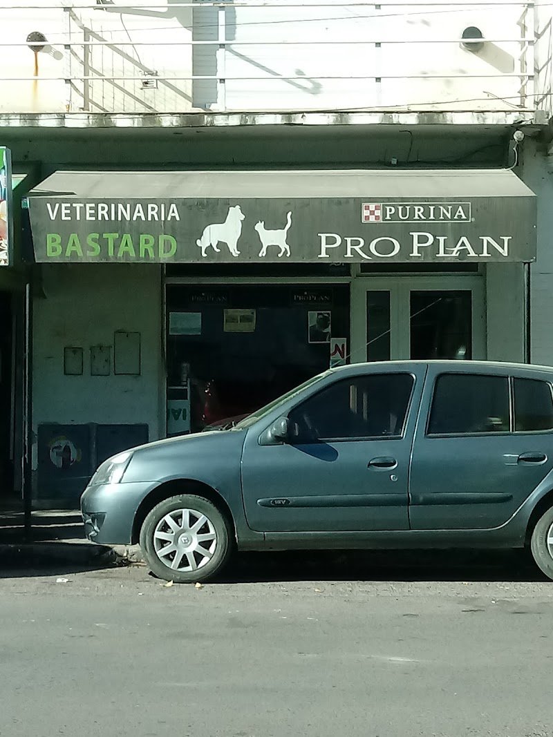 Veterinaria Bastard