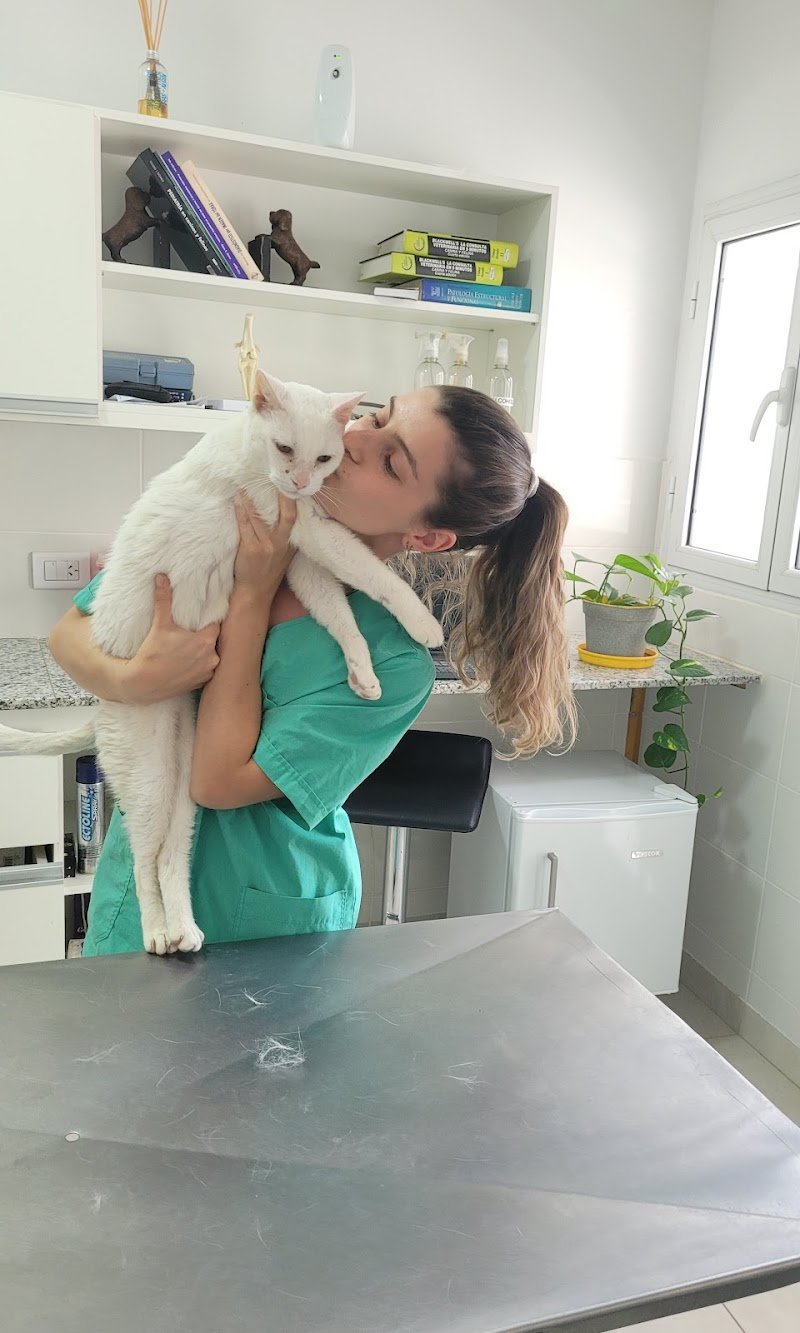 RIOVET Clinica Veterinaria