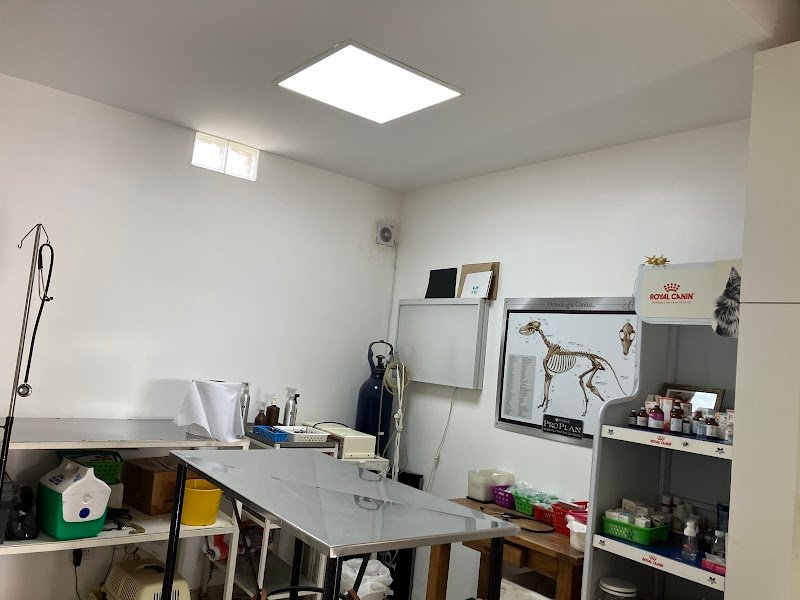 VETERINARIA AIKEN