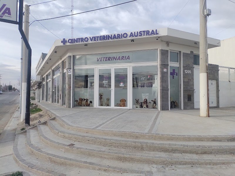 CVA Centro Veterinario Austral