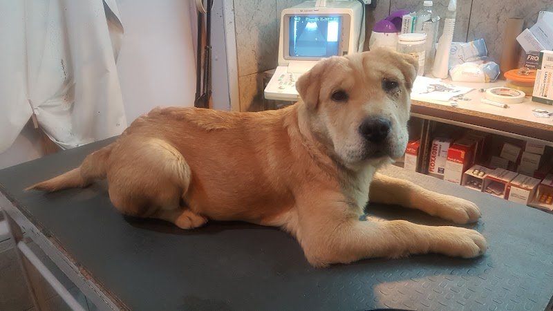 Vet. Taibo y Tienda Canito
