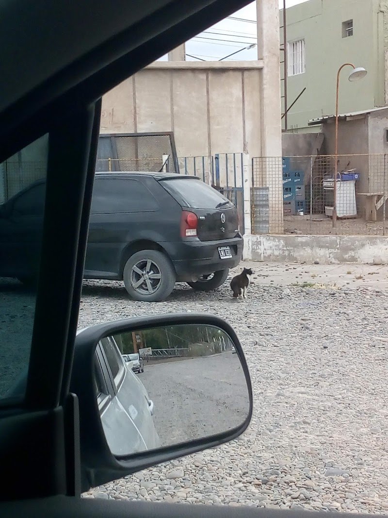 Direccion De Veterinaria Saneamiento Y Abasto