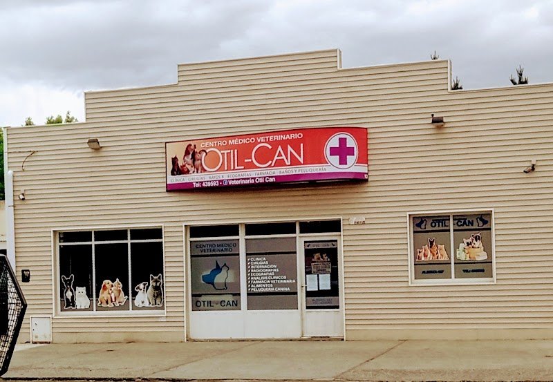 Centro Medico Veterinario Otil - Can