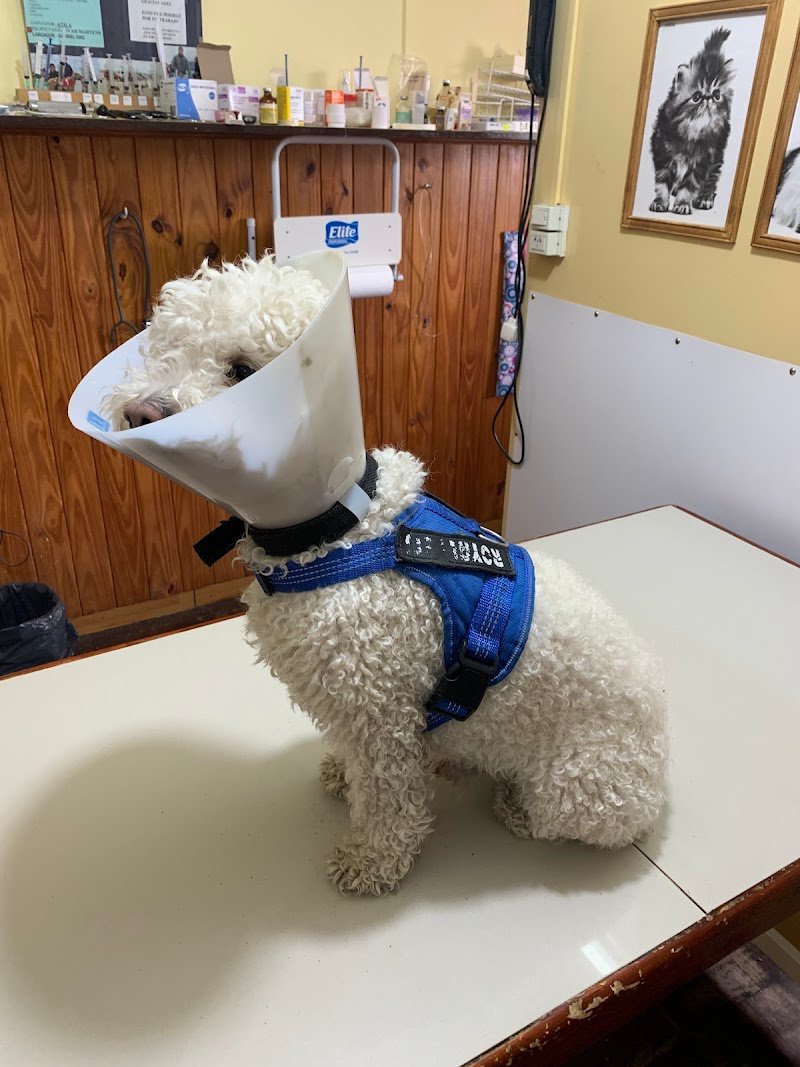 VETERINARIA MURASHIMA GUARDERIA Y PELUQUERIA