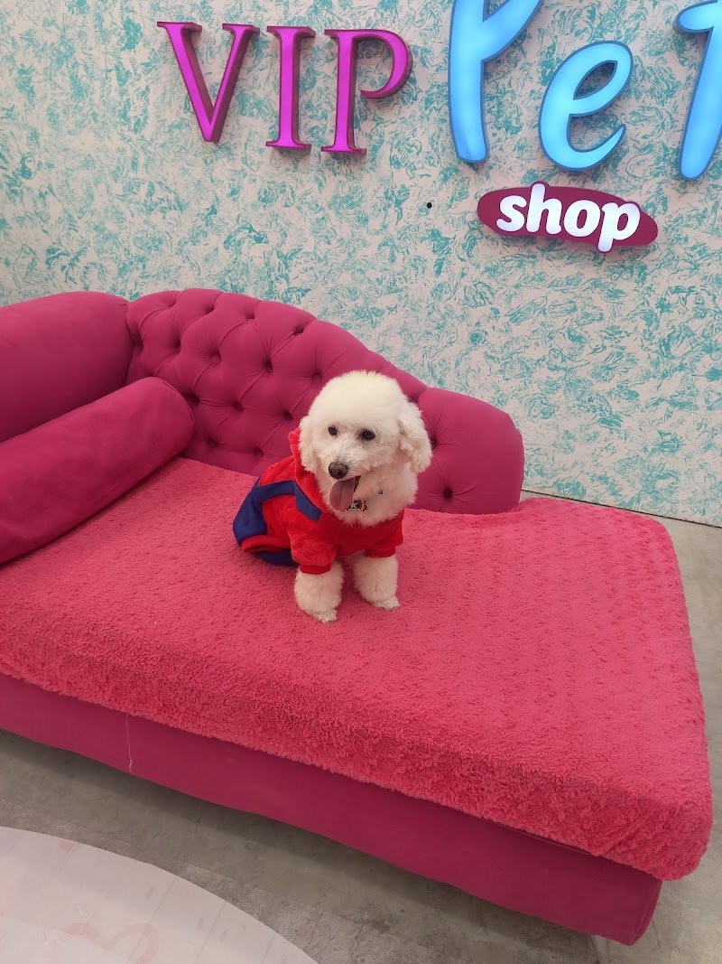 VIP Pet Shop RG